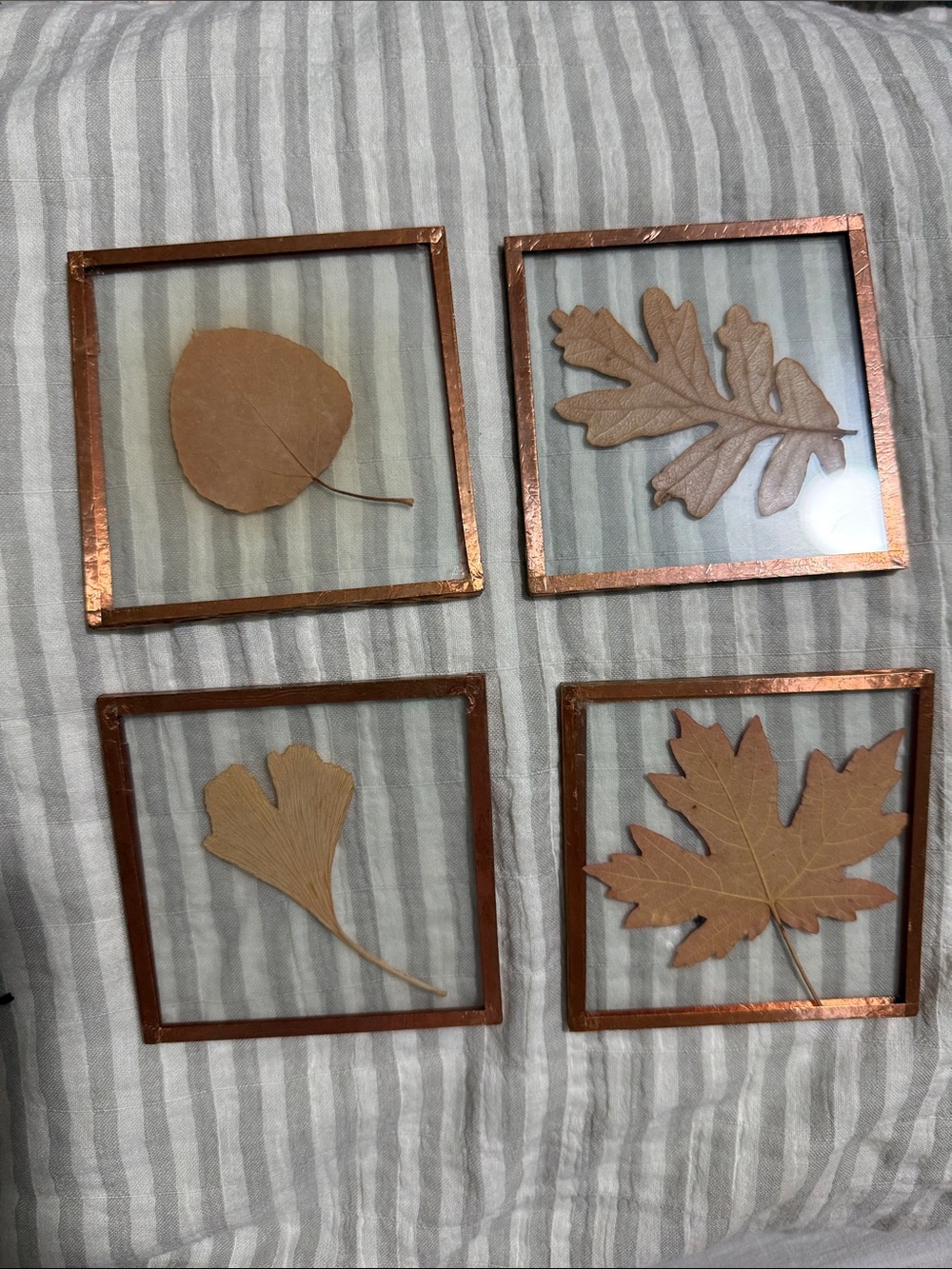 Vintage Pressed Leaf Copper Frame coaster Art Set of 4